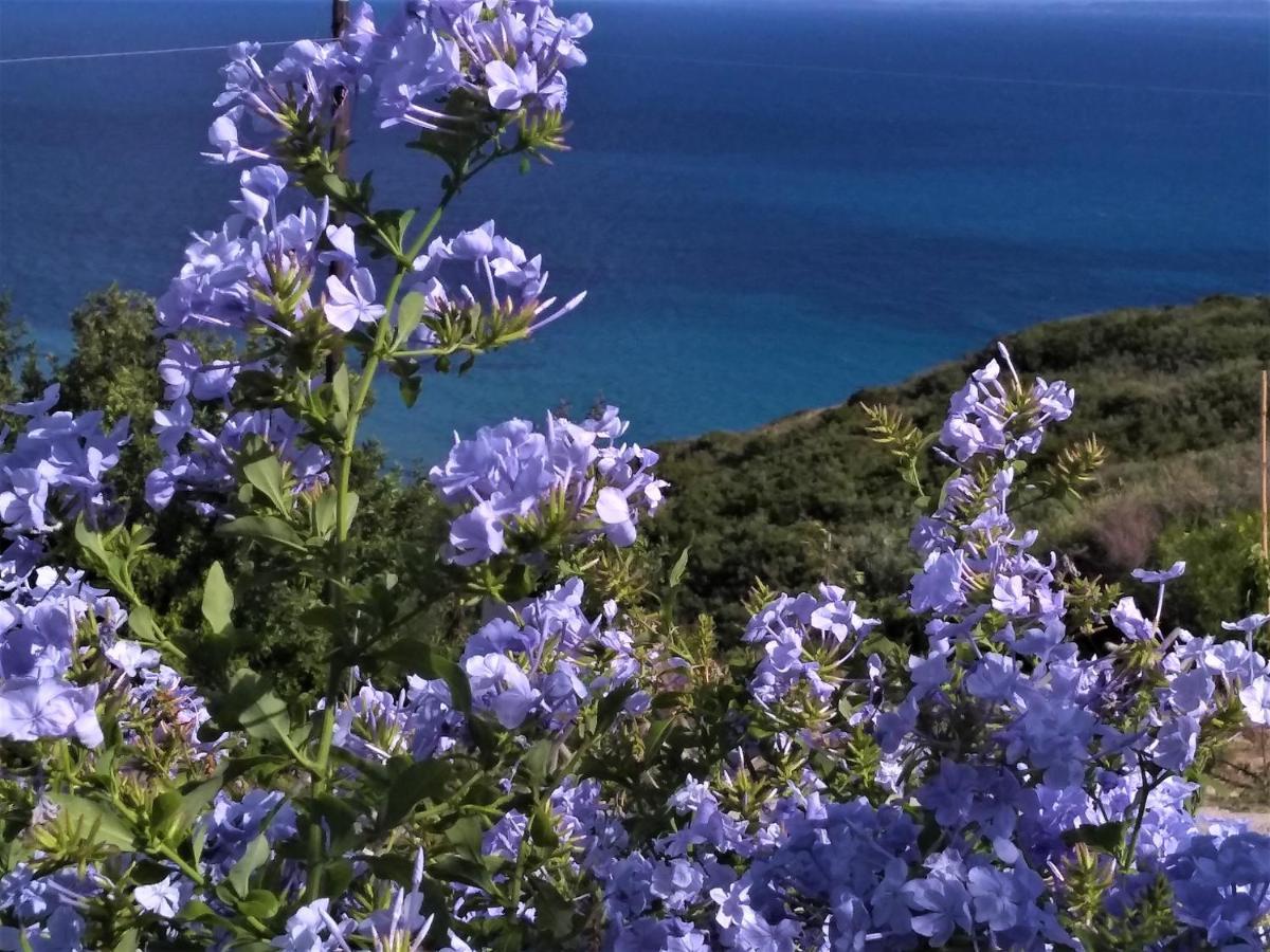 Kaminia Blu Villa Ratzaklion Bagian luar foto